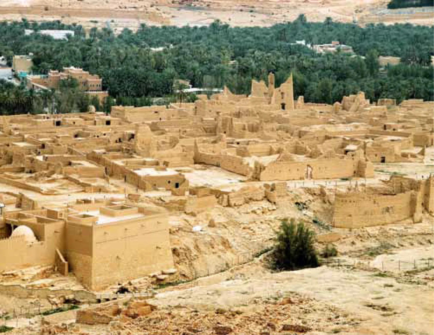 The Saudi Historian and Enhancing National 