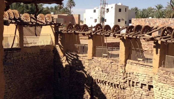 أسوار وقصور وآبار ونقوش ورسومات محافظة تيماء ثقافة مفتوحة على التراث الشعبي والشعري والبصري والحضاري