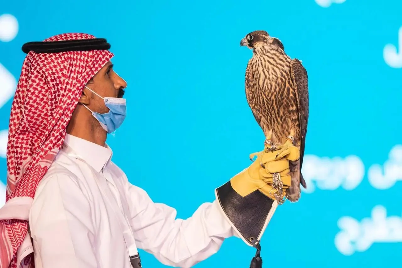 Classified as the fastest beings on earth – Falcons: a history of hunting, symbols of courage and heritage of the Arabian Peninsula