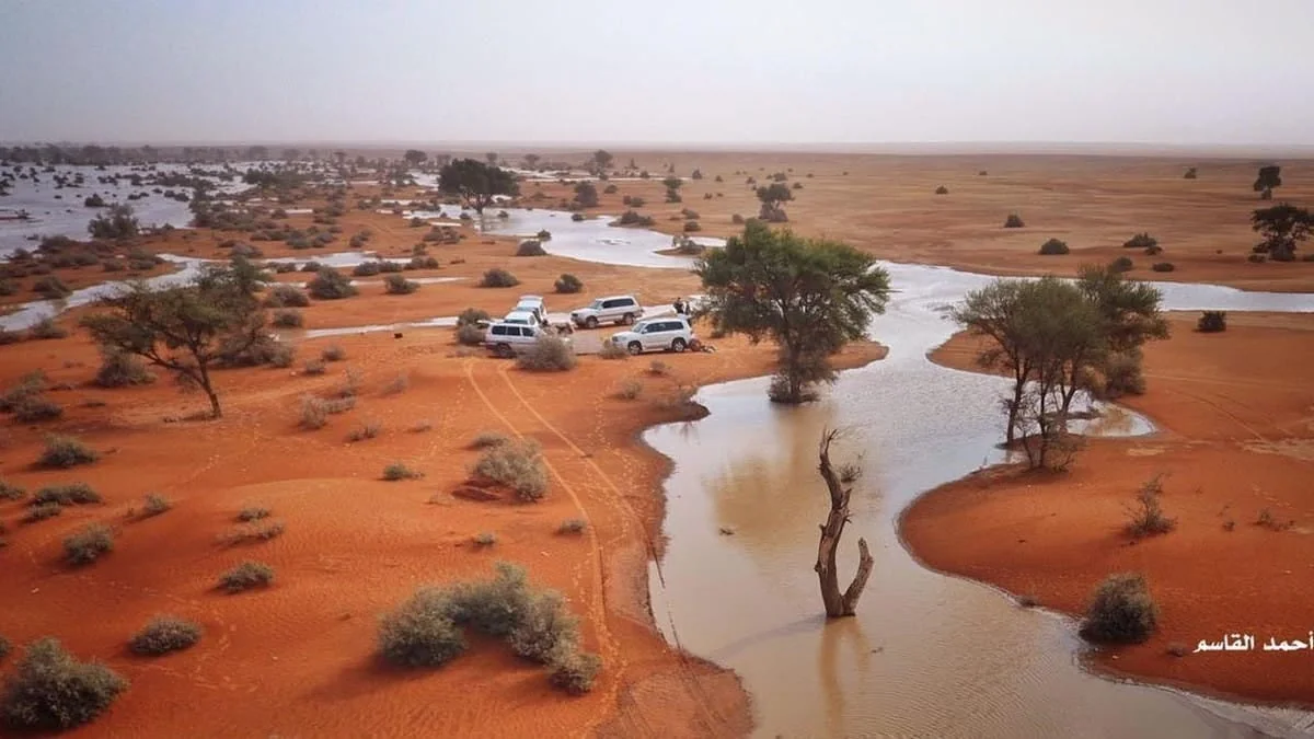 Picturesque paintings on the geography of sand .. The Kingdom's desert is an artistic exhibition planned by the genius of rain
