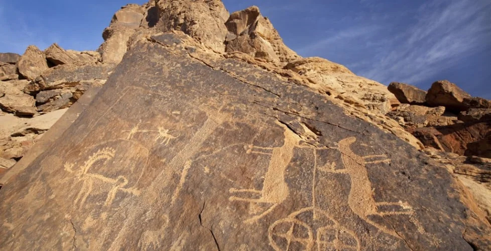 الجزيرة العربية  موطن استئناس الخيل