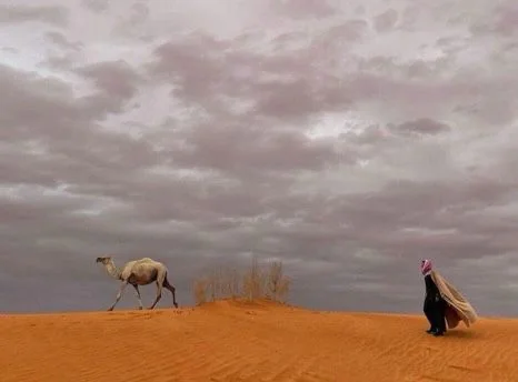 The Camel Club and the King Abdulaziz Public Library in a cultural seminar on the role of camels in the unification of the Kingdom