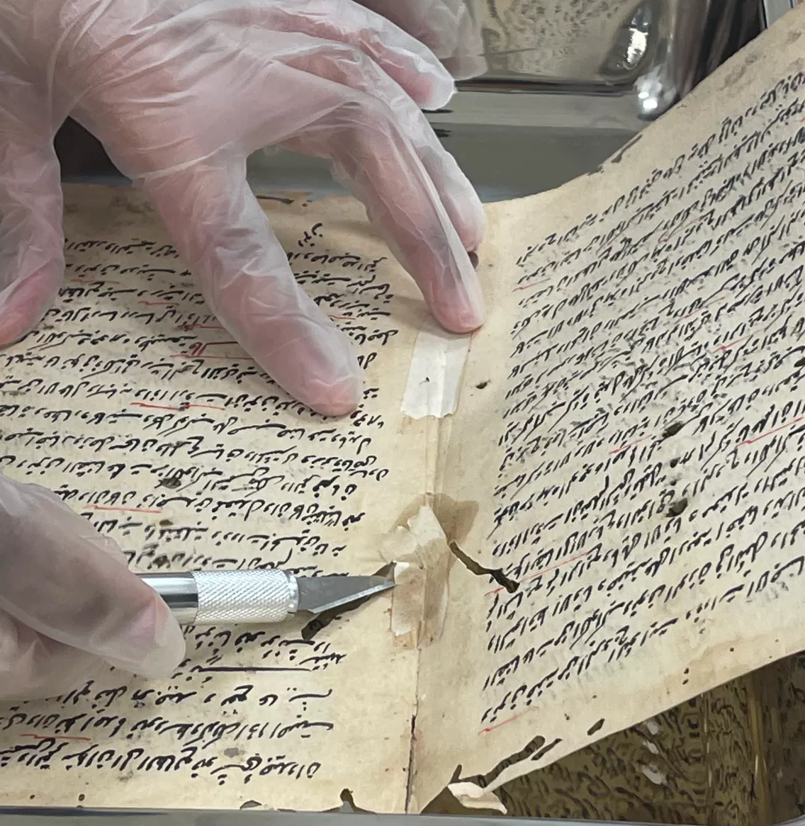 صورة المكتبة